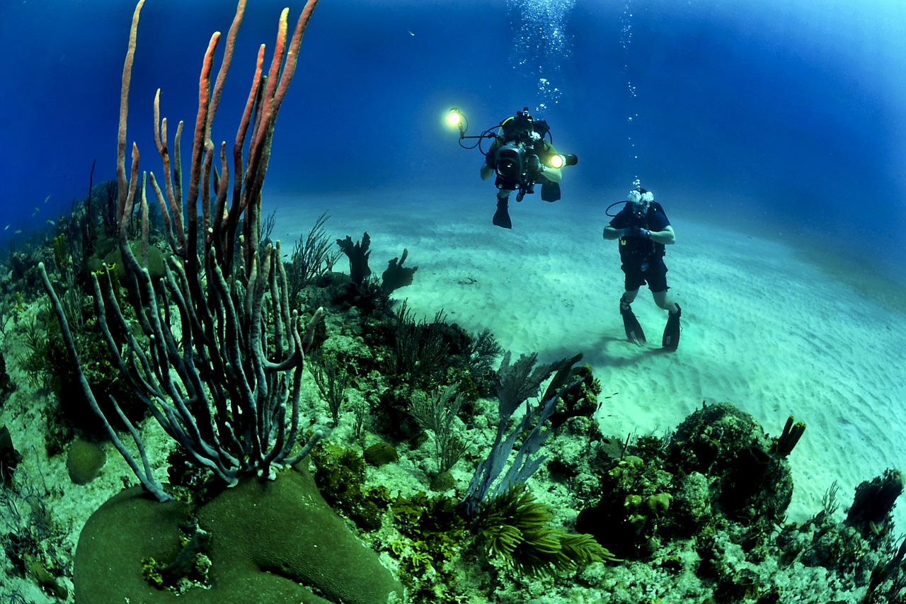 Rafa koralowa nurkowanie. Wakacje w głębinach – wakacje z kursem nurkowania